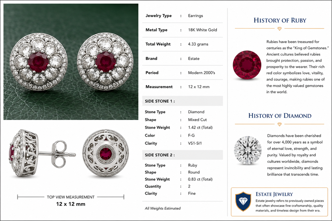 Modern Gem Ruby and Diamond 18Kt White Gold Earrings