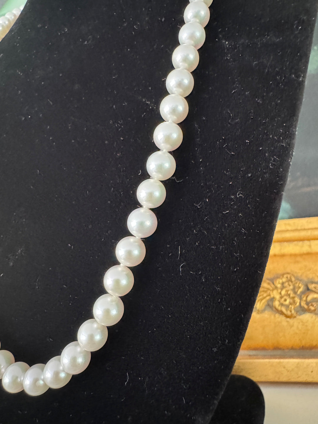 Modern 6.50 x 7.00 mm Japanese Akoya Cultured Pearls 24" 14kt Yellow Gold Necklace