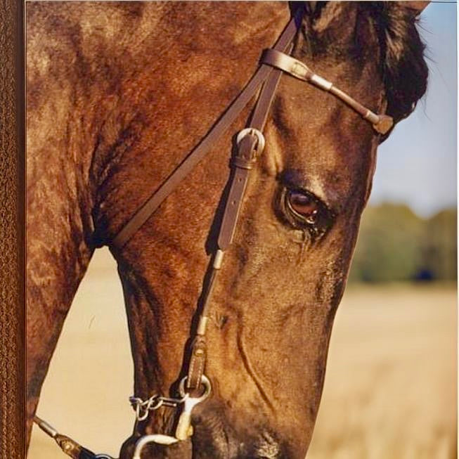 Diamond and 18K Yellow Gold and Black Rhodium Horse Earrings