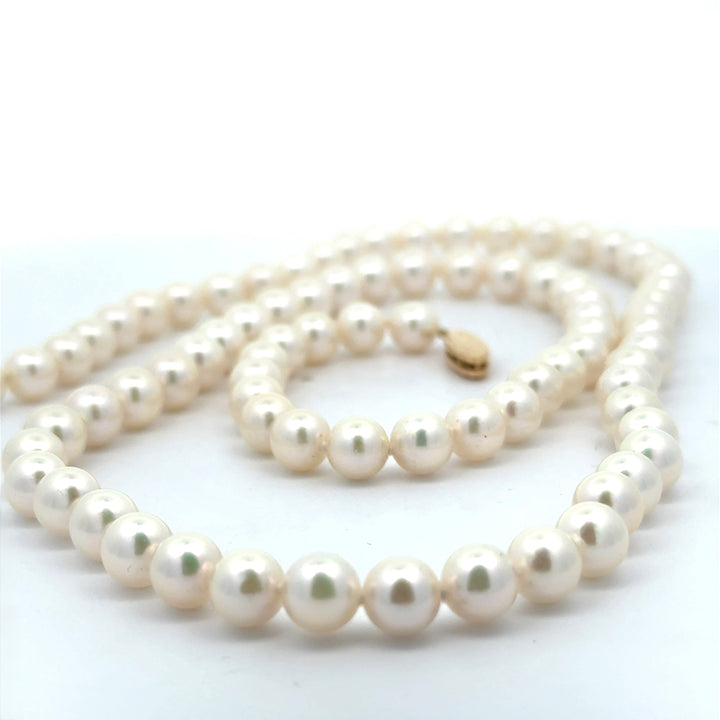 Modern 6.50 x 7.00 mm Japanese Akoya Cultured Pearls 24" 14kt Yellow Gold Necklace
