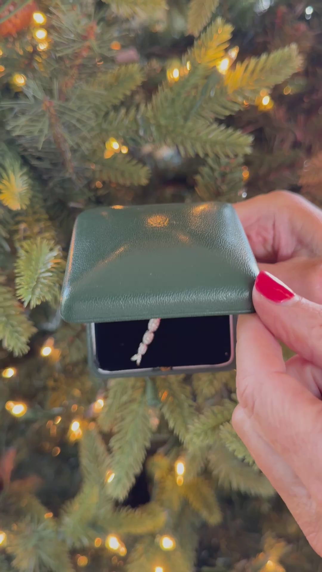 Tiffany & Co Diamond and Platinum Dragonfly Brooch